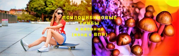 соль ск Алексин