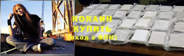 соль ск Алексин