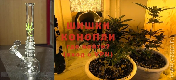 ГАЛЛЮЦИНОГЕННЫЕ ГРИБЫ Алексеевка