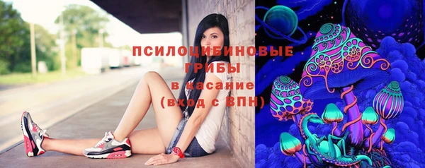 соль ск Алексин