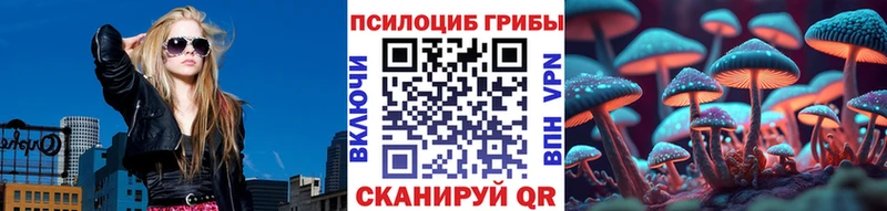 ОМГ ОМГ ТОР нарко площадка как зайти Галлюциногенные грибы MAGIC MUSHROOMS Заполярный